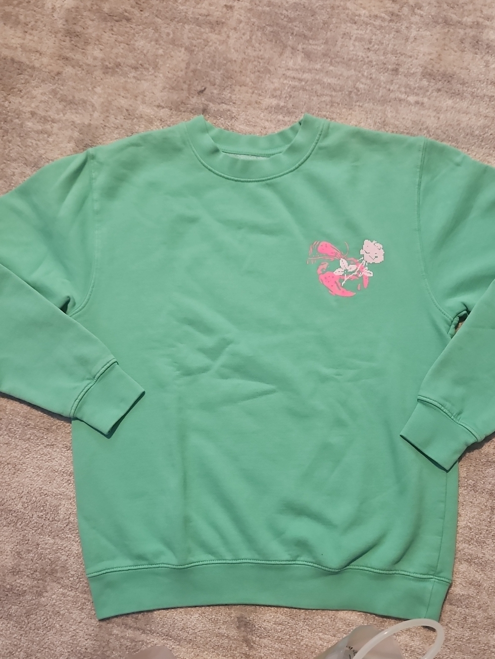 Mint Green Graphic Crewneck Sweatshirt